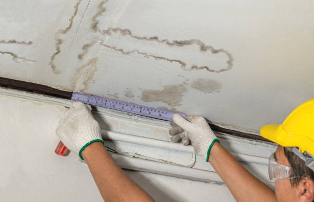 Reliable Structural Drying contractor in Marshallville, OH by Water Damage Irwin